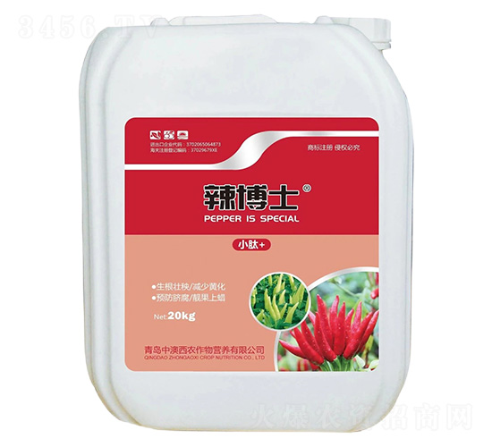 ����ʿ-�а����r(n��ng)