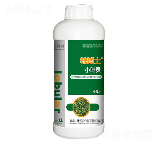 С�~�`-����ʿ-���R��-�а����r(n��ng)