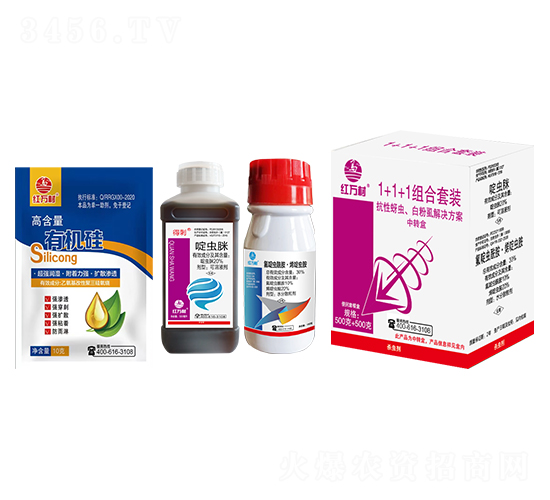 1+1+1�M�����b���������x�׷�ʭ��Q������-�t�f��-�l(xi��ng)�弾�L(f��ng)-���˹����r(n��ng)��