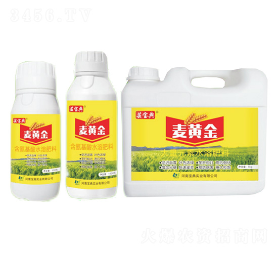 ���S��-�|����-���䌍�I(y��)