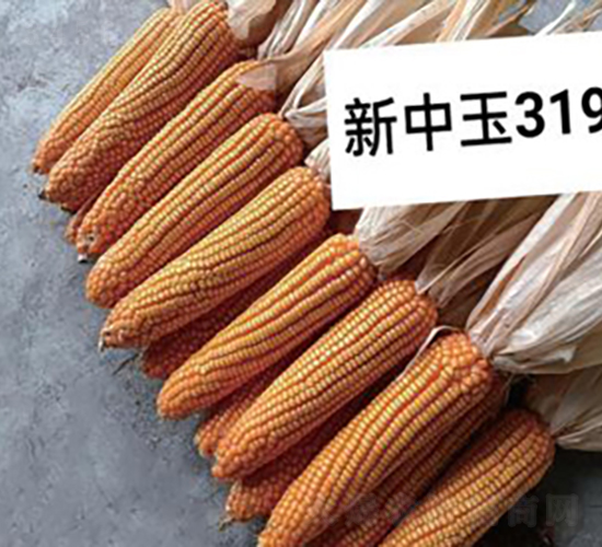 ������3198-���׷N��-���r(n��ng)�Ƽ�