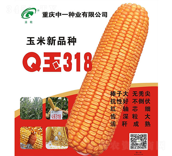 Q��318-���׷N��-���r(n��ng)�Ƽ�