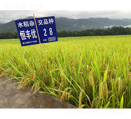 ���S��(y��u)28���������㵾��-ˮ���N��-���r(n��ng)�Ƽ�