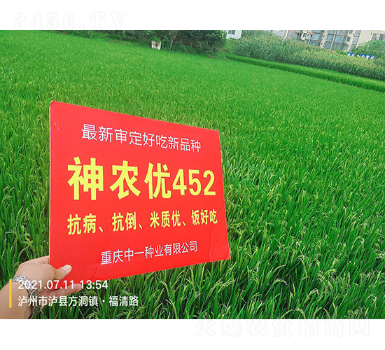 ���r(n��ng)��(y��u)452-ˮ���N��-���r(n��ng)�Ƽ�