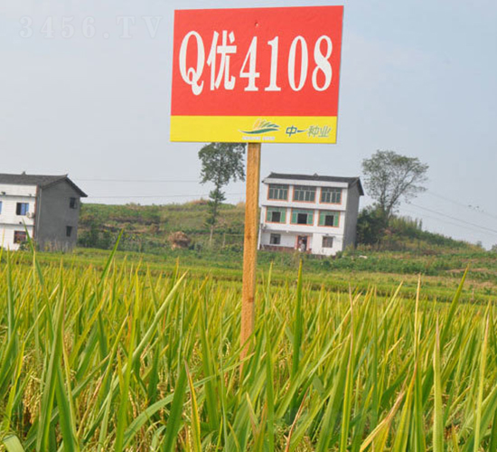 Q��(y��u)4108-ˮ���N��-���r(n��ng)�Ƽ�