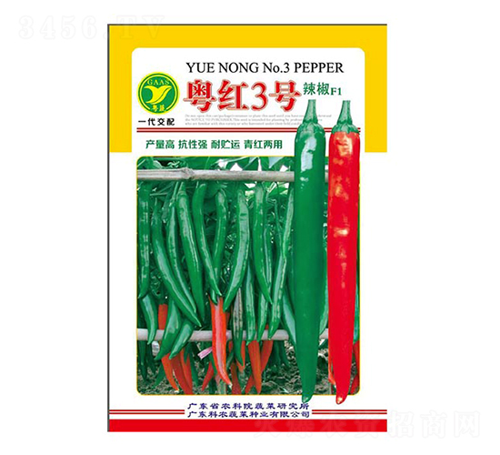 ���t3̖����-�����N��-����r(n��ng)�Y