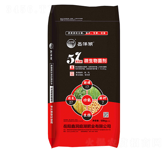 ��Ԫ��΢�������-�����-�ζ�ͥ���ʘI(y��)