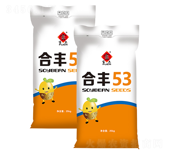 ���S53-�󶹷N��-�����rˇ