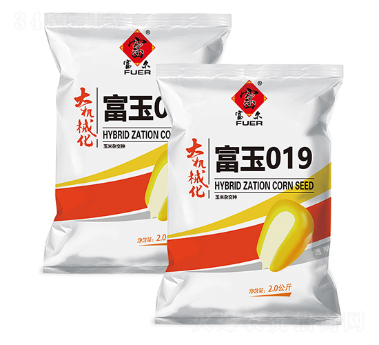 ����019-���׷N��-�����r(n��ng)ˇ