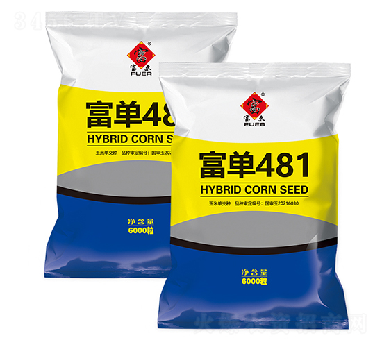 ����481-���׷N��-�����rˇ