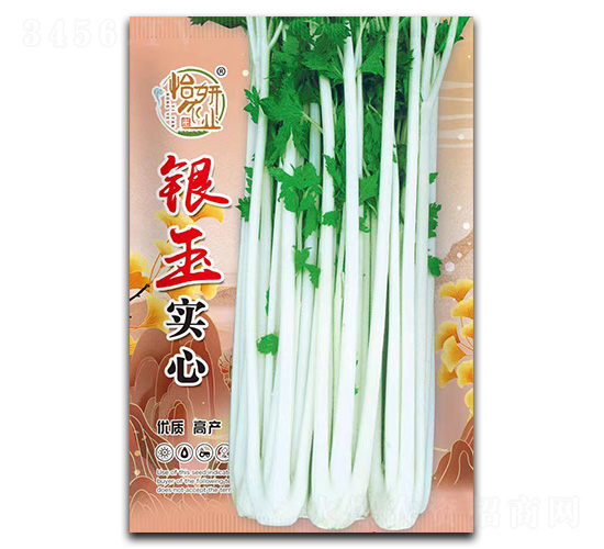 �y���۲˷N��-�����r�I(y��)