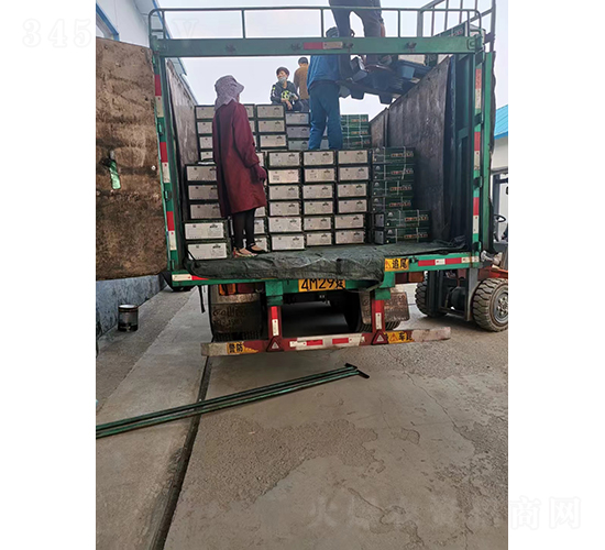 ��Ʒ����(9)