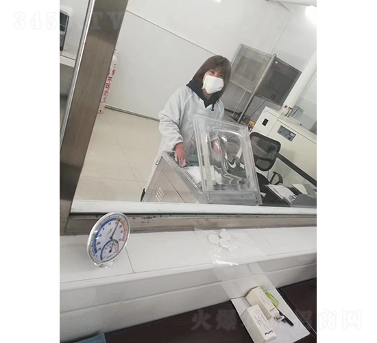 ���Ќ����(1)