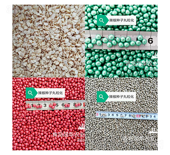 �N��������-��(r��n)�A�r(n��ng)�I(y��)