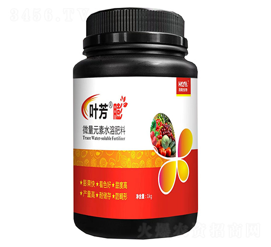 �~������-���(y��ng)����