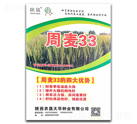 ����33-С���N��-ꃉ����A