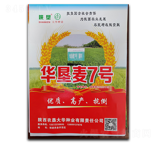 �A����7̖-С���N��-ꃉ����A