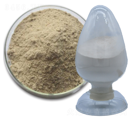 �ݲ�ѿ�ߗU��-��������