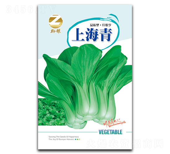 �Ϻ���N��-�����r(n��ng)�I(y��)