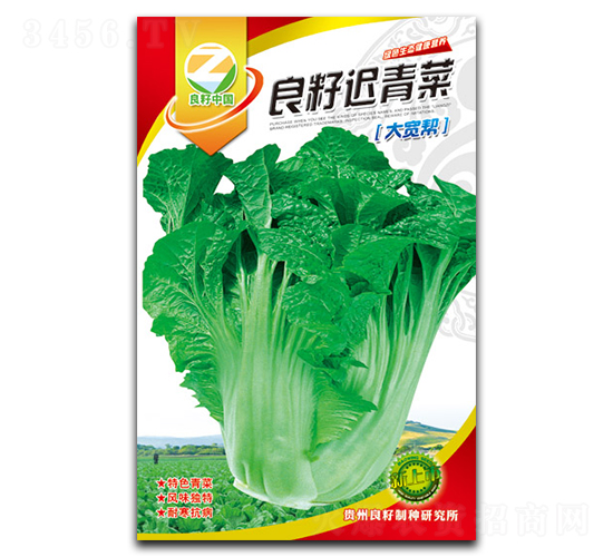 �����t��˷N��-�����r(n��ng)�I(y��)