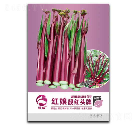 �t���n�t�^��-��̦�N��-�����r(n��ng)�I(y��)