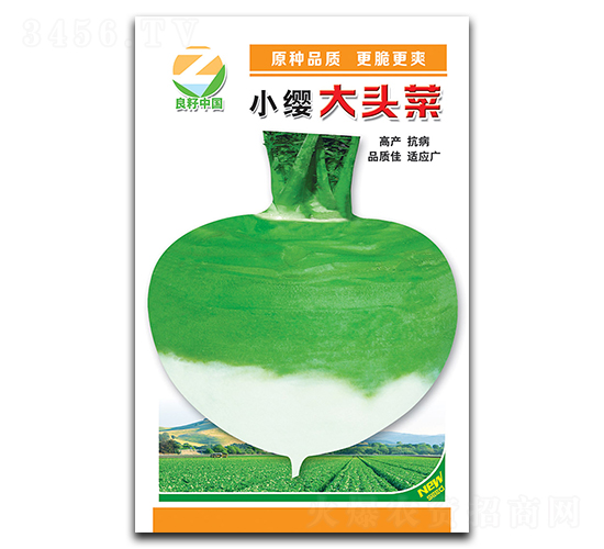 С�t���^�˷N��-�����r(n��ng)�I(y��)