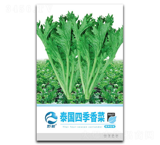 ̩��(gu��)�ļ���˷N��-�����r(n��ng)�I(y��)