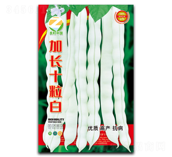 ���Lʮ����-�����N��-�����r�I(y��)