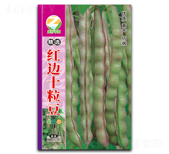 ���x�t߅ʮ����-�����N��-�����r(n��ng)�I(y��)