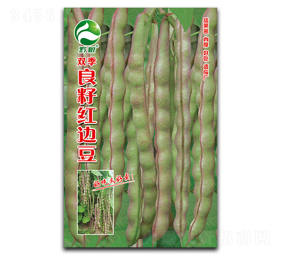 �p�����Ѽt߅��-�����N��-�����r(n��ng)�I(y��)