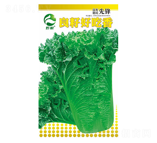 �ײ˷N��-���Ѻó���-�����r�I(y��)