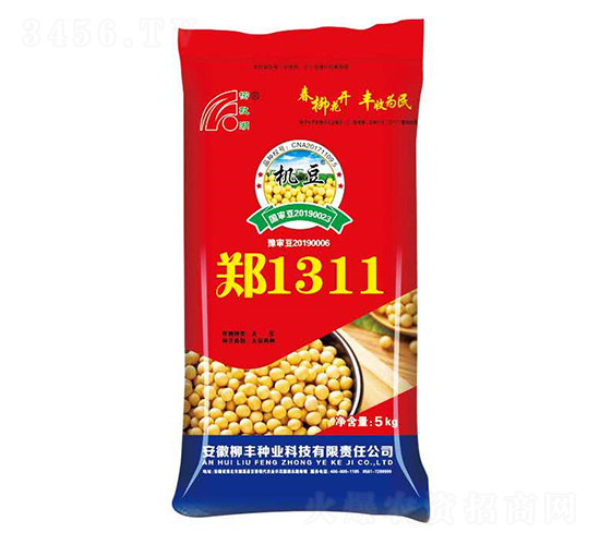 ��1311-�󶹷N��-���S�N�I(y��)