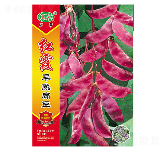 �tϼ��ⶹ-�f��N�I(y��)