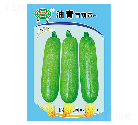 ���������J-�f��N�I(y��)