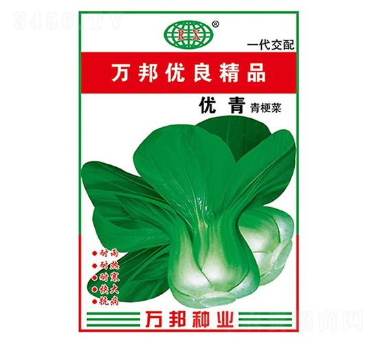 �๣�˷N��-��(y��u)��-�f(w��n)��N�I(y��)