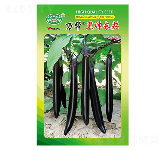 �ڎ��L(zh��ng)�ѷN��-�f(w��n)��N�I(y��)