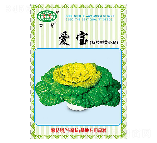 �ی����ذ����S�Ğ��������˷N��-�f��N�I(y��)