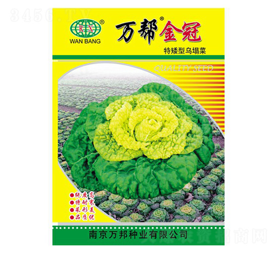 �f(w��n)�ͽ���ذ��͞�����-�����˷N��-�f(w��n)��N�I(y��)