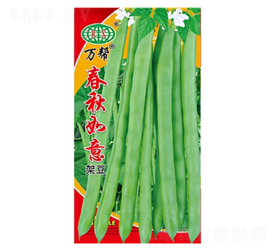 ���������ļ����N��-�f��N�I(y��)