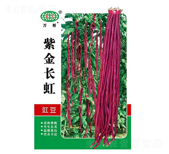 �Ͻ��L(zh��ng)�������N��-�f��N�I(y��)