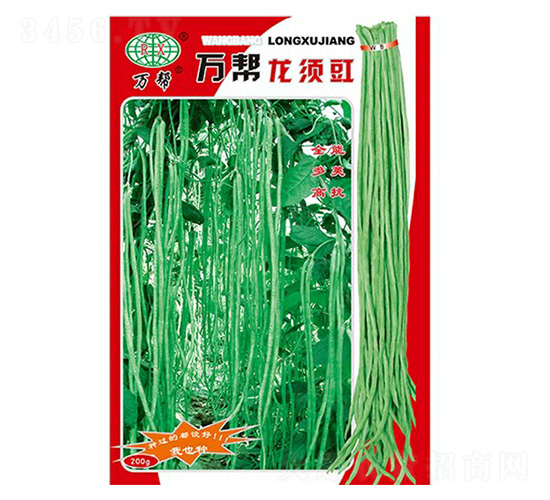 �f����������N��-�f��N�I(y��)