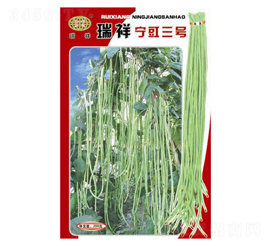 ���錎����̖�����N��-�f��N�I(y��)