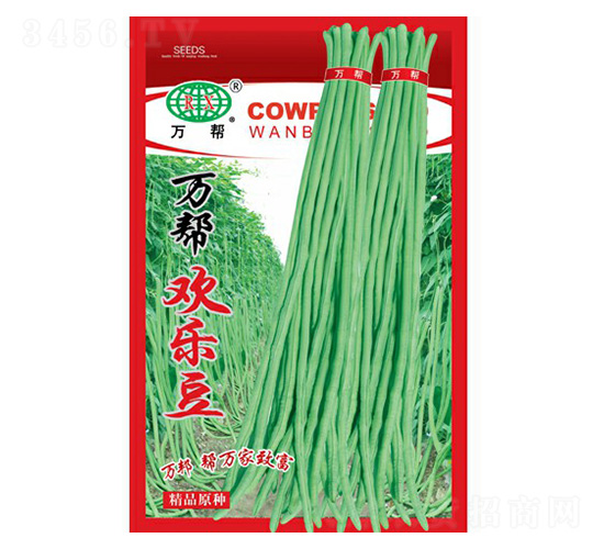 �f�͚g���������N��-�f��N�I(y��)