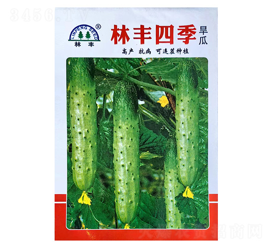 ���S�ļ�����-�S�ϷN��-���S�N��