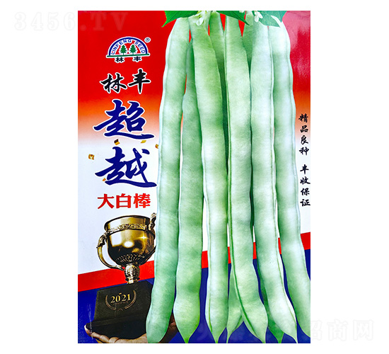 ��Խ��װ�-�|���N��-���S�N��