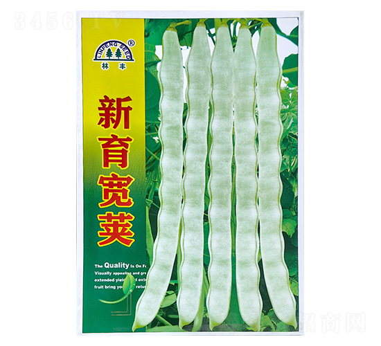 �������v-�|���N��-���S�N��