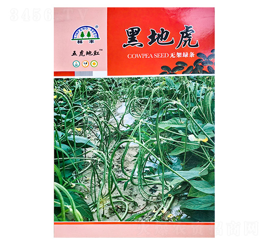 �ڵػ��o�ܾG�l-�����N��-���S�N��