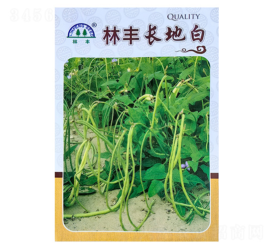 �L(zh��ng)�ذ�-�����N��-���S�N��