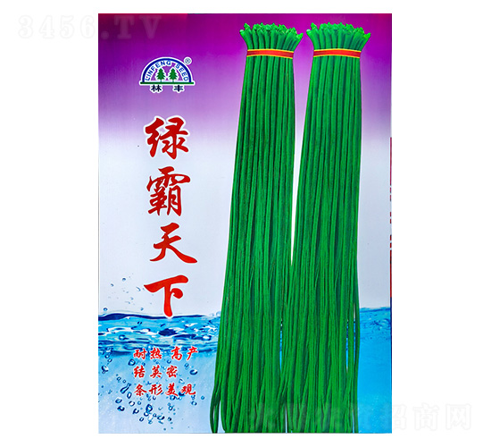 �����N��--���S�N��