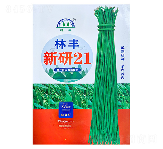 ����21-�����N��-���S�N��